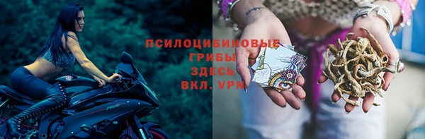 стаф Алексеевка