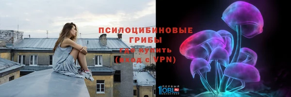 стаф Алексеевка