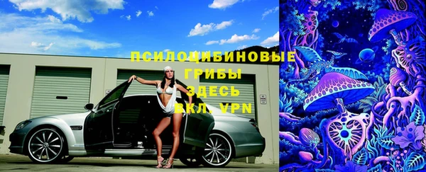 стаф Алексеевка