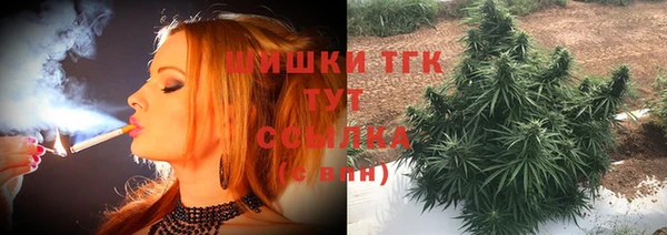 спиды Алзамай